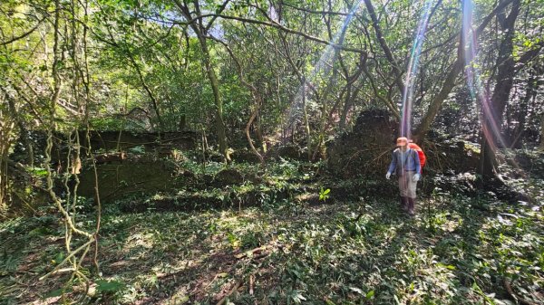 20250302玉田古道-瑪鋉三山出武聖街2725260