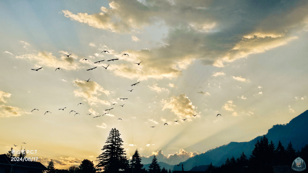 太平洋屋脊步道  Bridge of the Gods  EP.28