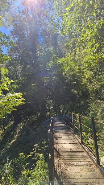 【被遺忘的南橫仙境】中之關、天池步道O繞10K2798203