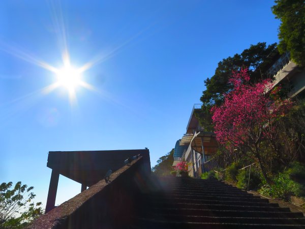龍年首登的好選擇，鯉躍龍門，搭捷運來內湖爬三尖，鯉魚山、忠勇山、圓覺尖2426524
