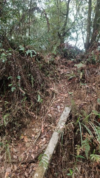 西大武山登山步道2125427