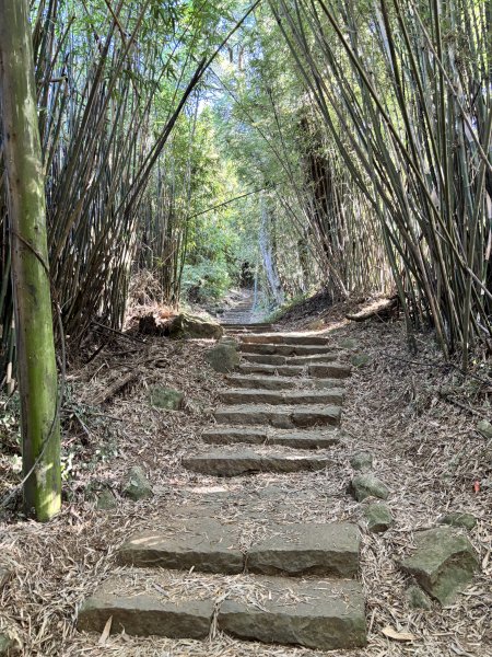 面天山、向天山、向天池2921023