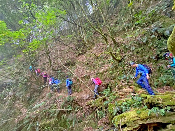 樂山鐵道順登鹿坑山.南比林山.尤命神木1164434