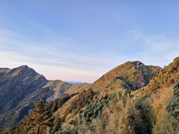 一日奇萊主山東峰(2022.10.26)1946989