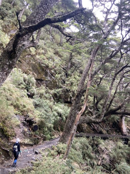 20230515-16玉山前西峰+遠望雨中的主東北2436678