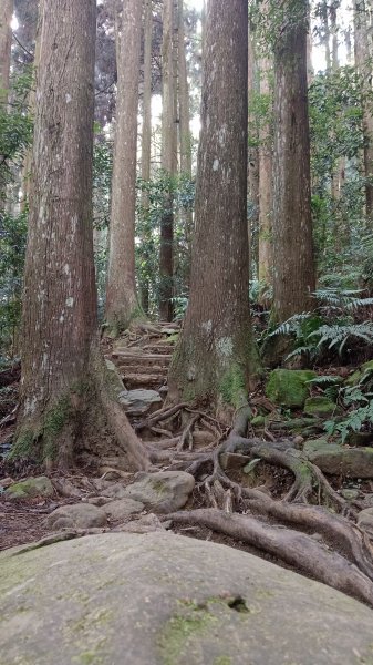 探加里山路徑2054196