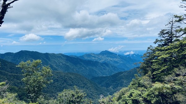 新竹檜山巨木群步道982153