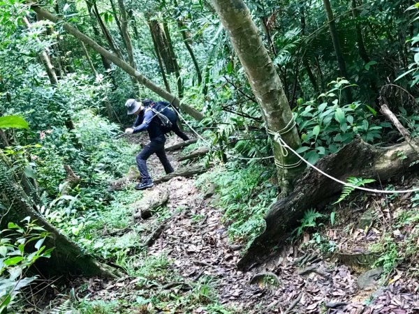 九芎根登山步道621611