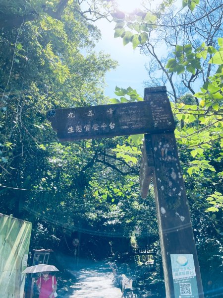 20250928 九五峰-拇指山-象山2903902