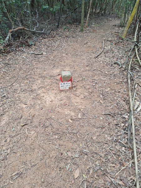 三段崎古道202401222696412