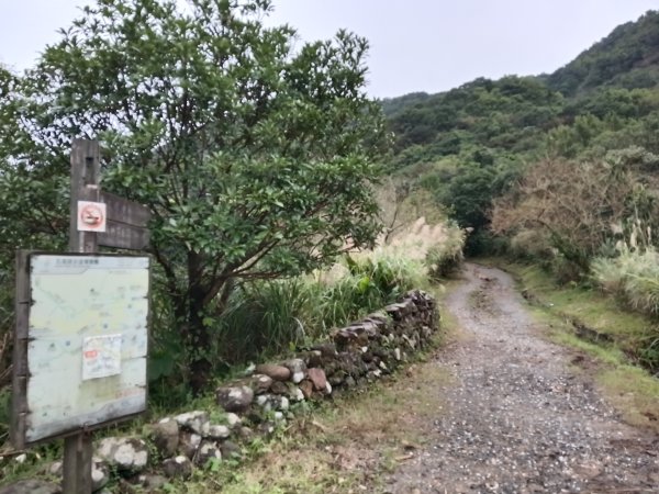 瑞芳區本山地質公園步道+草山公路+百二崁古道+樹梅坪古道O型2945503