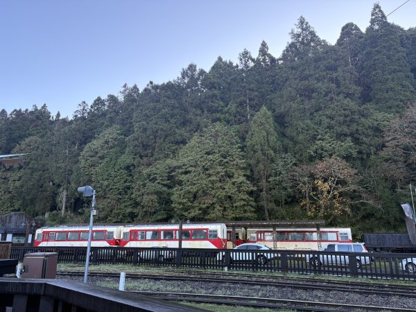 20251225塔山步道(大塔山)2970250