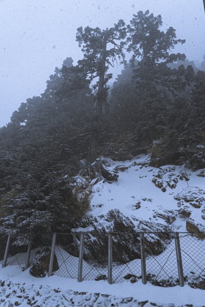 Mt.Jade -玉山冬雪915177