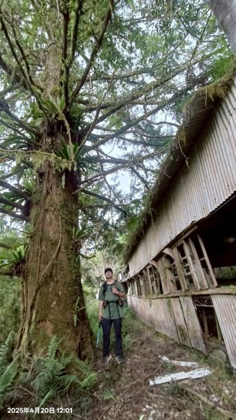 20250420古魯古道-大元山-大元國小2767395