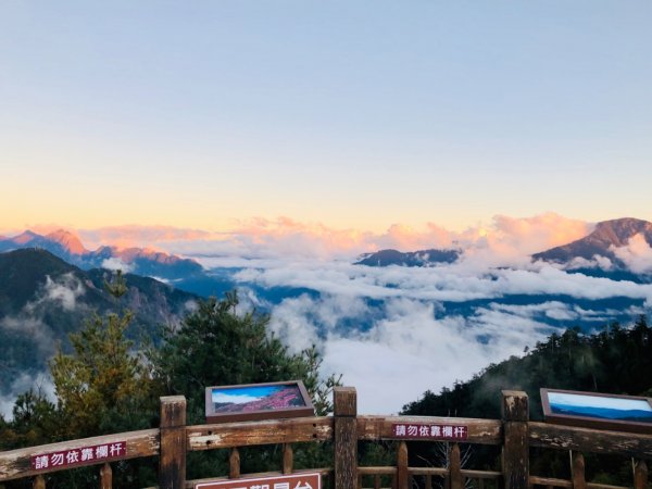 1081207大雪山神木.天池.埡口769824