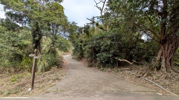 崁頭山步道3002475
