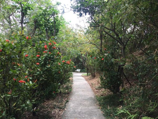 新莊青年公園淨山392587