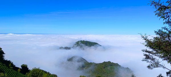 溪頭~金柑樹山/嶺頭山/忘憂森林O形走（沿路竟是耶穌光）1884178