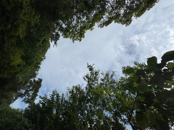 2025/04/13 小百岳第008「大崙頭山」2760276