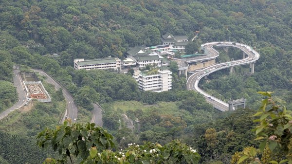 115.05.01天上山-桐花公園之旅3052137