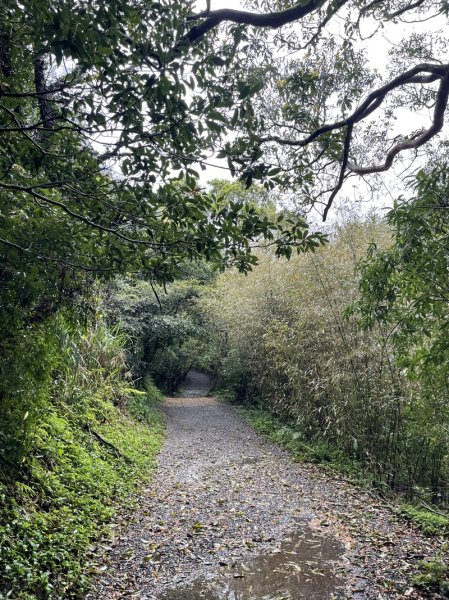 台北大縱走第一段2738406