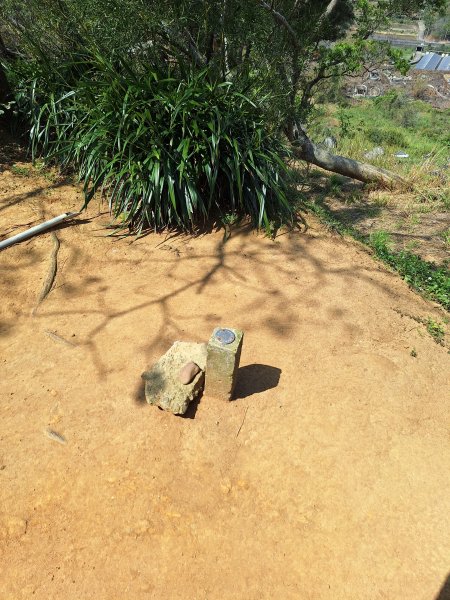 造橋口山古道202503122734400