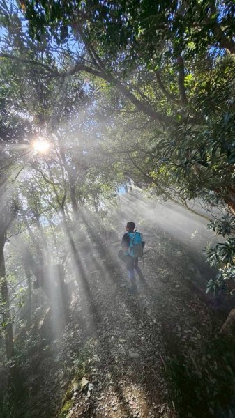 20251106北大武山步道☁️ 喜多麗雲海2931351