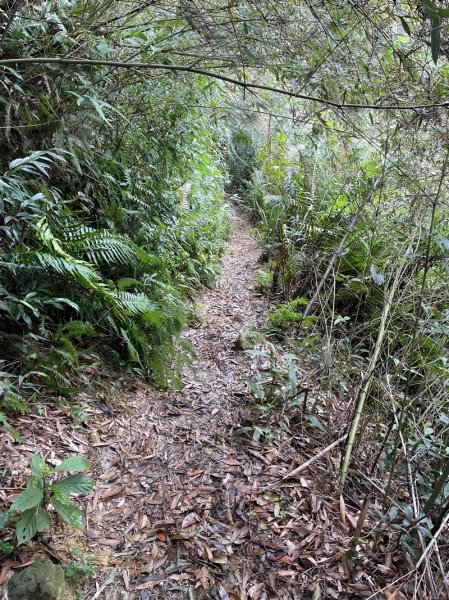 大湖翠湖金龍湖2711901