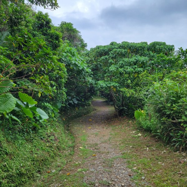 七星嶺步道2298740