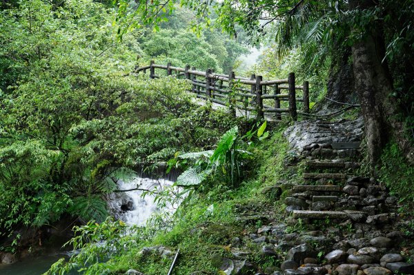 新北 瑞芳 頂子寮山、五分山2615510