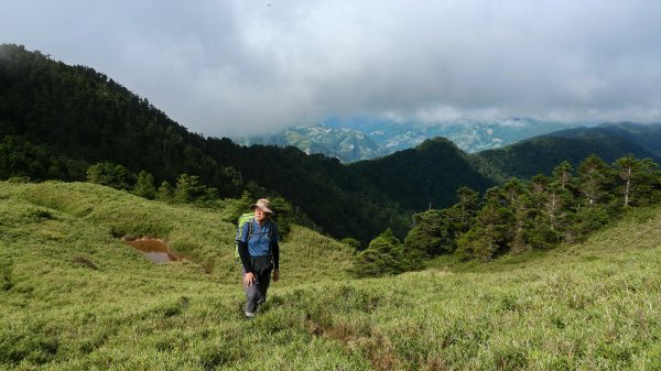 合歡南峰連走合歡主峰 優閒賞花 2022 07 171767755