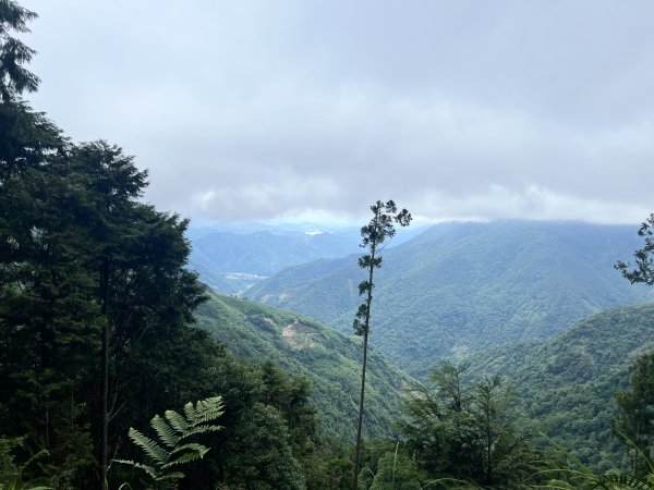 西巒大山巒安堂雙龍進出2212085