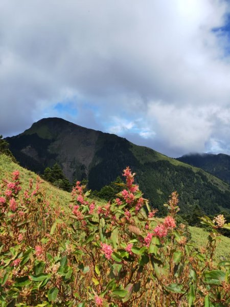 【合歡群峰1】~石門山-201910061694336