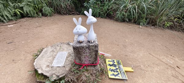 2026/01/18-情人湖、大武崙砲台、大武崙山步道2984397