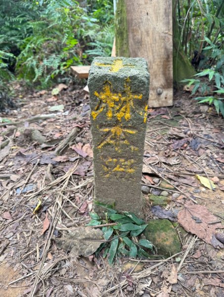 大艽芎古道縱走 新/溪州山(小百岳#23) 出溪州公園2893981