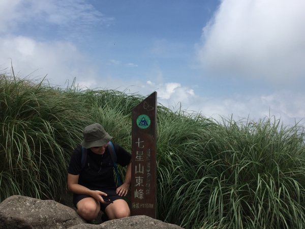 七星山主、東峰登山步道1387043