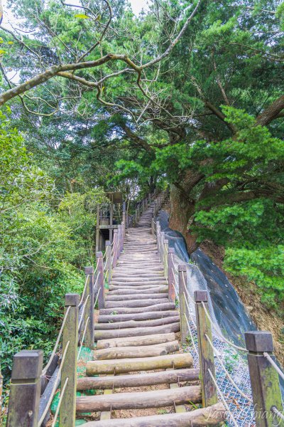 [台中]頭嵙山3130592