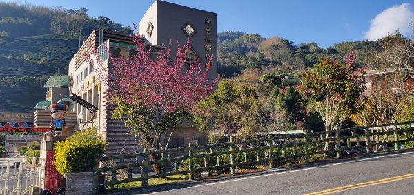 2025-01-30迷糊步道2704470