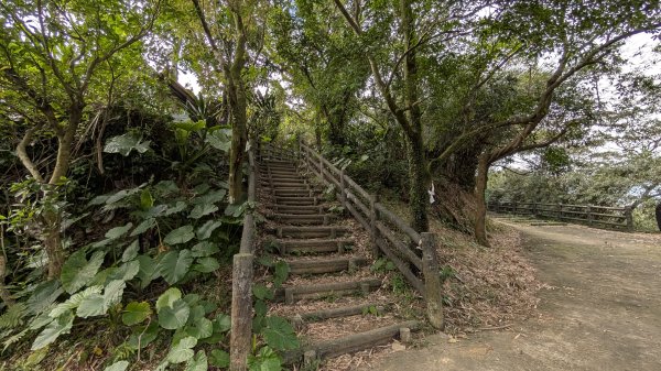 114.12.20劉銘傳隧道-獅球嶺北峰-獅球嶺東砲台山-獅球嶺池-獅球嶺砲台山之旅2966746