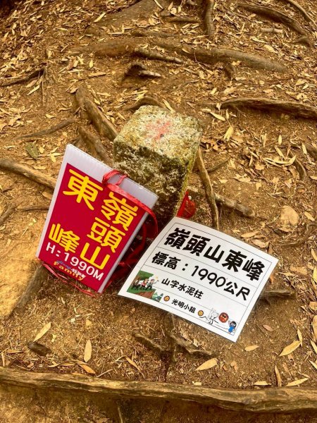 🌈1/18（日）忘憂森林×金柑樹山×溪頭天文台✨FB：熊熊趴爬走🌈2983957