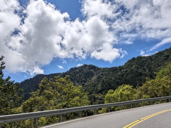 [山海圳_聖山之路_第一段] 2026_0802 自忠⮕鹿林山登山口3109097