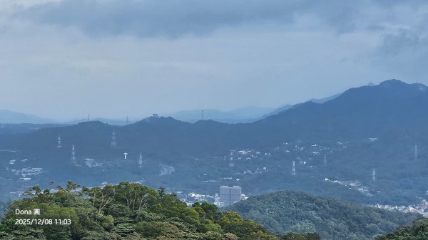 20251208雞寮坑山南稜線O走+鹿寮坑濕地賞景採果2969030