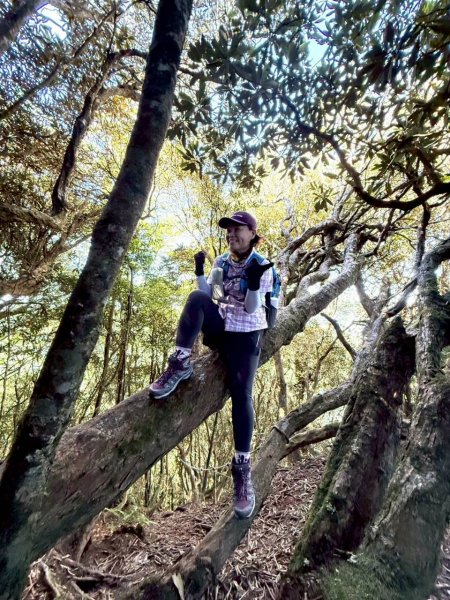 🌈11/9(日)高島縱走~高台山連走島田山山徑✨FB：熊熊趴爬走🌈2932482