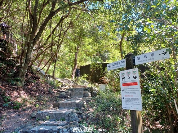 【台中和平】山林靜謐時光。 捎來步道2989207