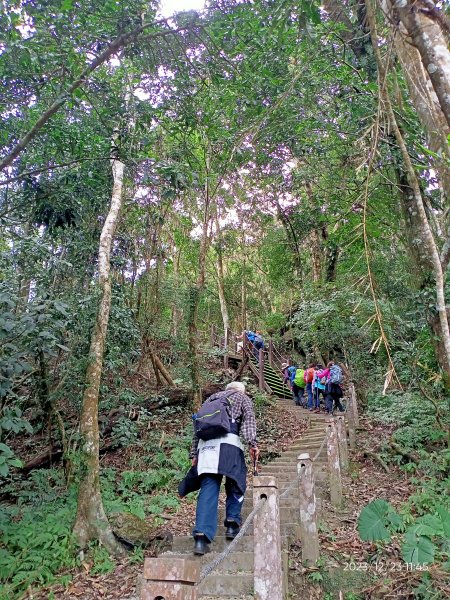四訪苗栗的花果山-小百岳#037馬那邦山、雪霸國家公園管理處【小百岳集起來、苗栗-臺灣百大必訪步道】2394328