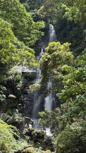 戲水（鴛鴦2786735