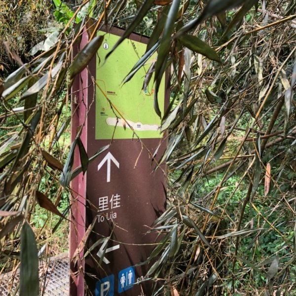 達娜伊谷走里美避難歩道、巨石坂步道690721