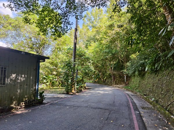 [漫遊縱谷 愛在花東-07/10] 2025_1012 花蓮鯉魚山步道群2913402