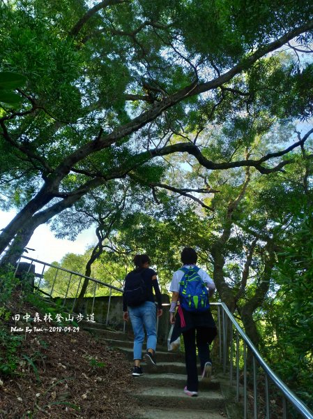 田中森林公園登山步道20180929455533