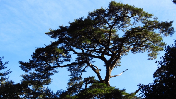 超越自我奇萊南華行24202